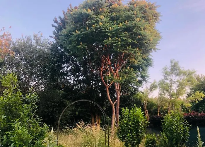 Maison Cosy & Son Jardin